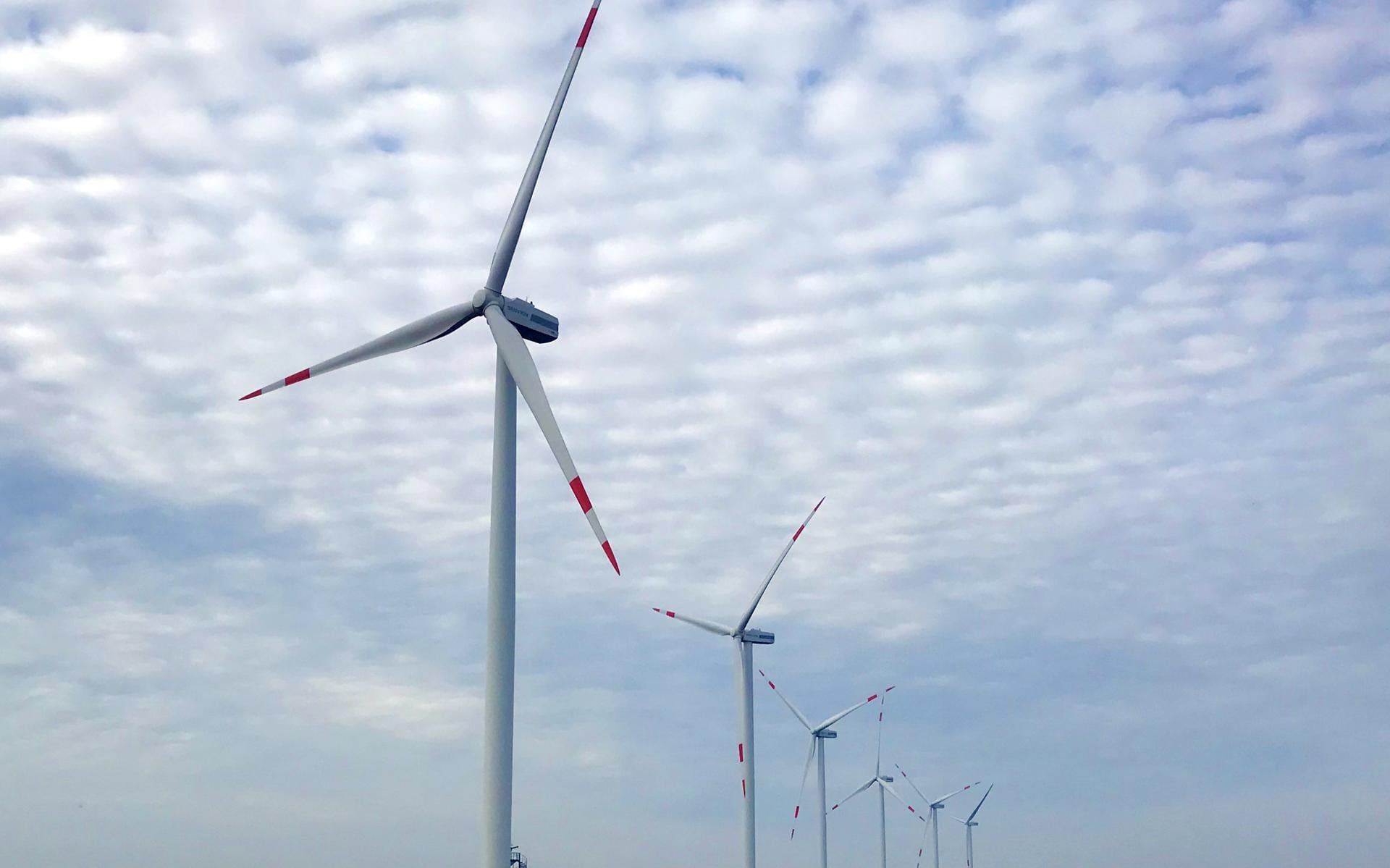 Emmen schrapt windpark met acht molens tussen Barger-Compascuum en Emmer-Compascuum. Wel turbines la