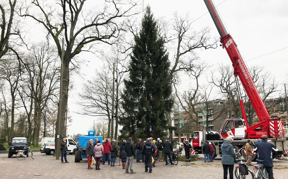 Mega operatie slaagt de meterslange kerstboom in Emmen staat op zijn