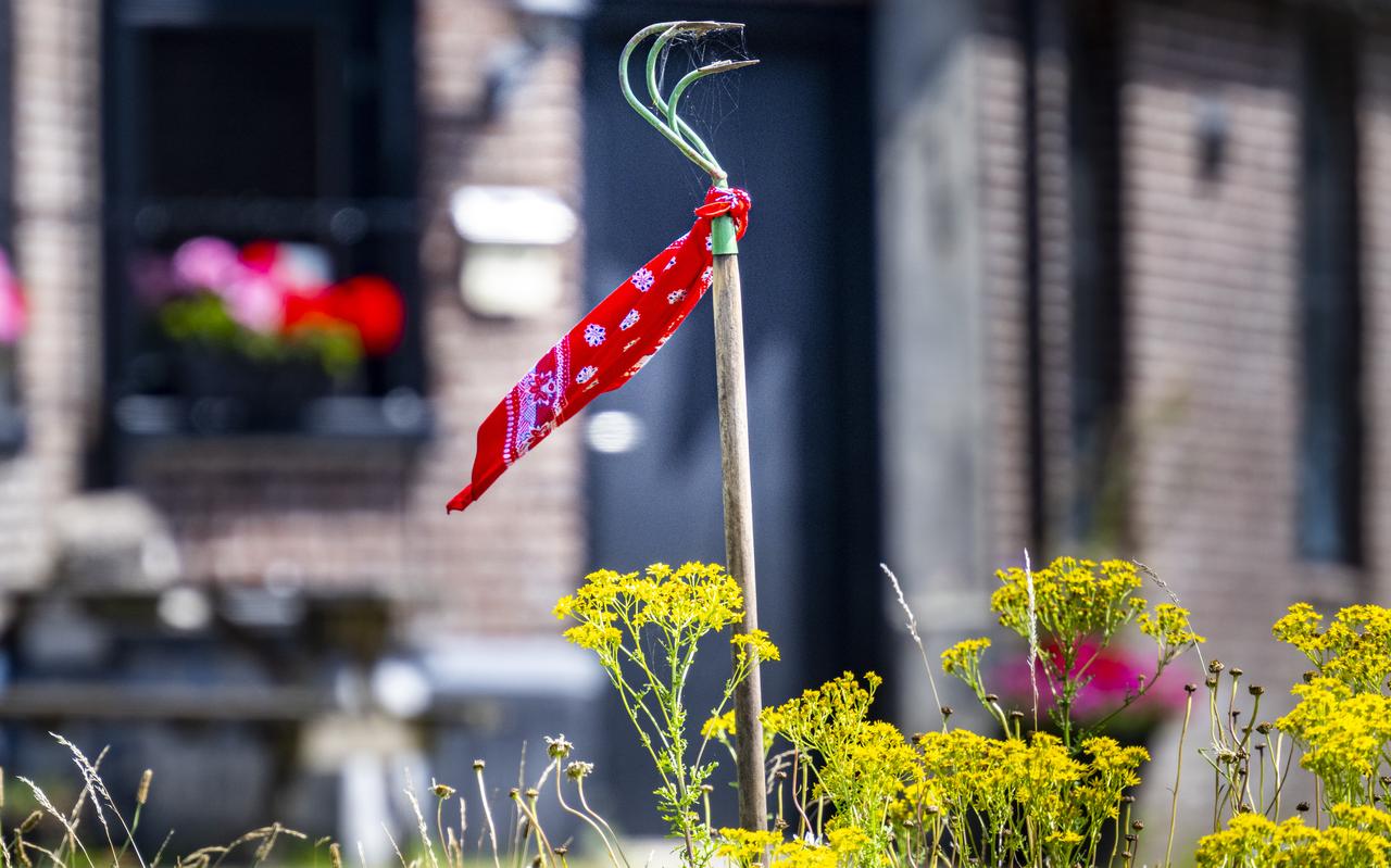 Dwars door Drenthe wemelt het van symbolische steun voor boeren. Dwars door Drenthe wemelt het van symbolische steun voor boeren.