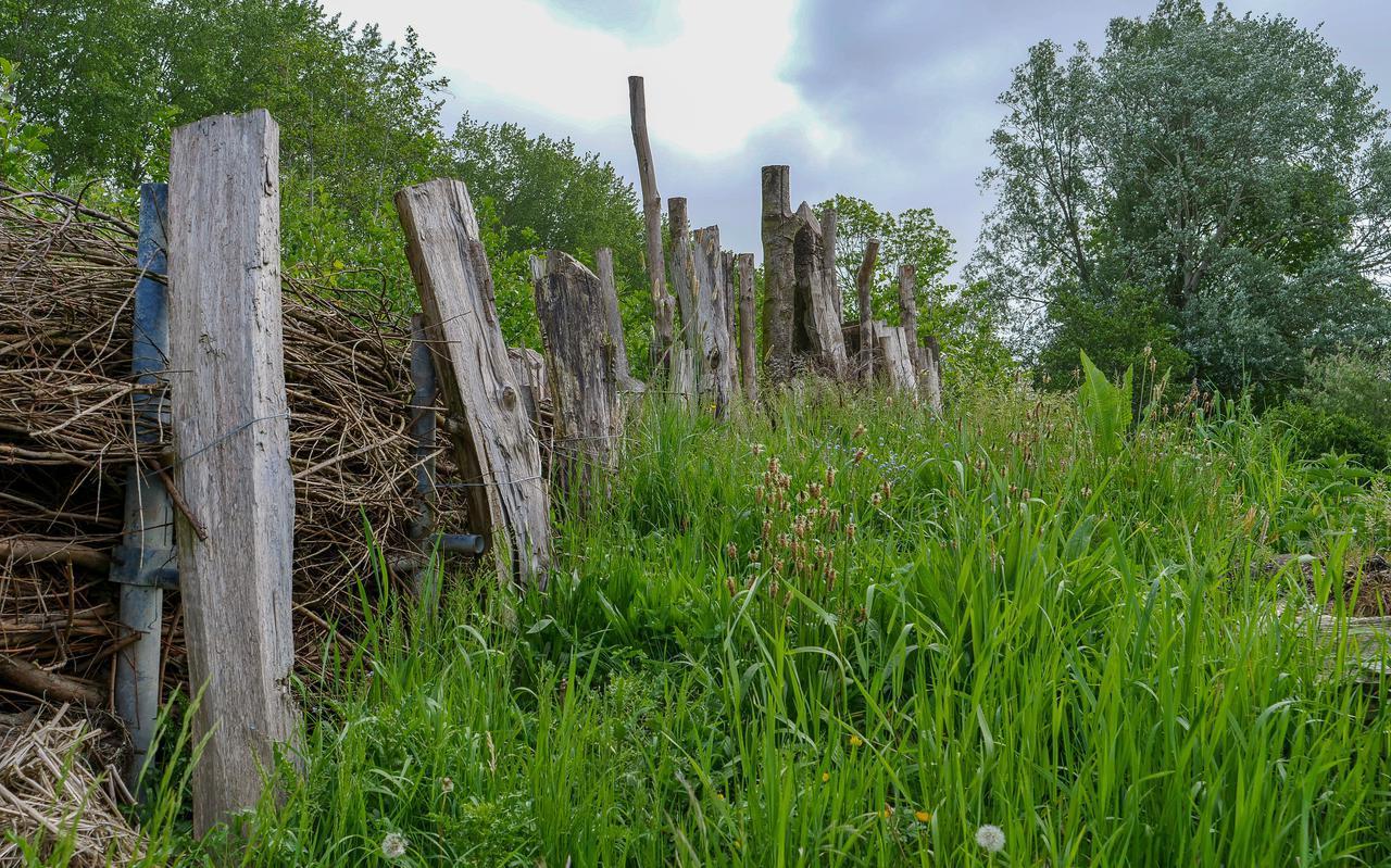 Hoogeveen wil illegaal gebruik van gemeentelijk groen aanpakken Hoogeveen wil illegaal gebruik van gemeentelijk groen aanpakken