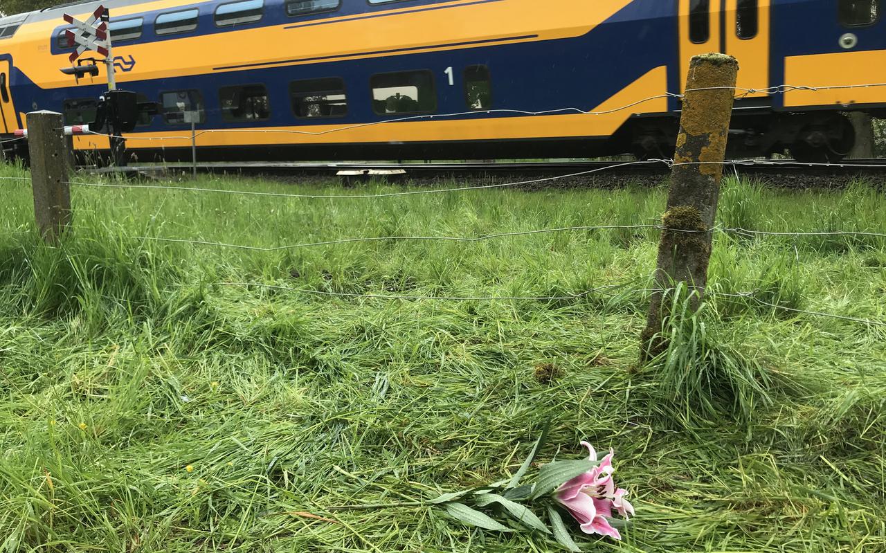 Een bloem, vlakbij de spoorwegovergang in Glimmen, waar het fatale ongeluk plaatsvond.