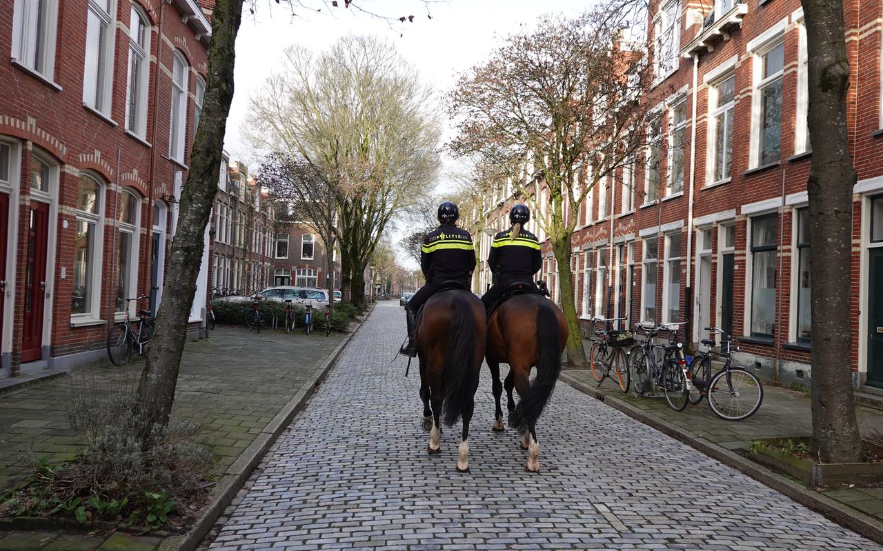 Politiepaarden in De Oosterpoort.                               