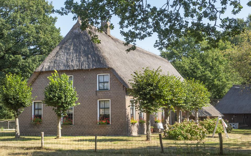 Oudje het Ottenshoes als blikvanger van Orvelte.