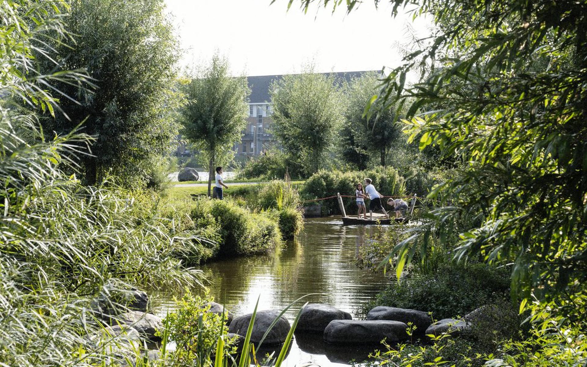 Assen mag zich van de Groenste stad van Nederland noemen.