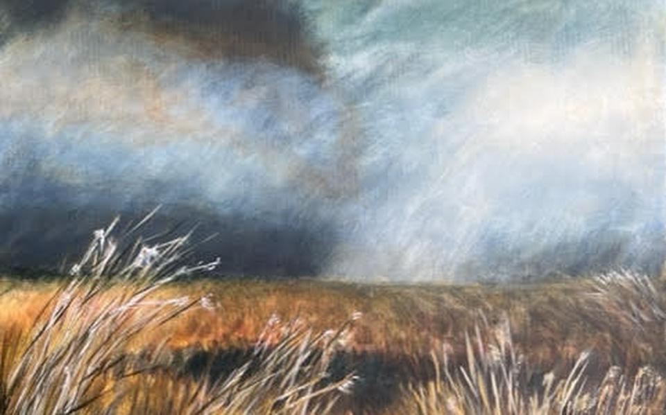 Expositie Natuur in Beeld in Haren en Glimmen