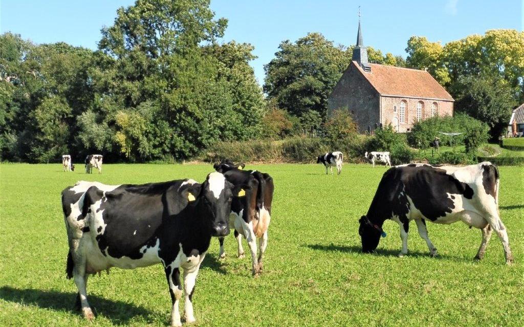 Het klooster van Oosterwijtwerd