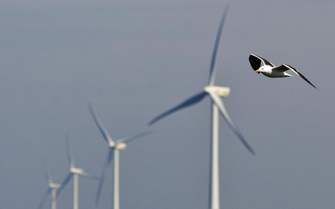 De gemeenteraad in Midden-Drenthe zegt nee tegen de komst van grote windmolens. De gemeenteraad in Midden-Drenthe zegt nee tegen de komst van grote windmolens.