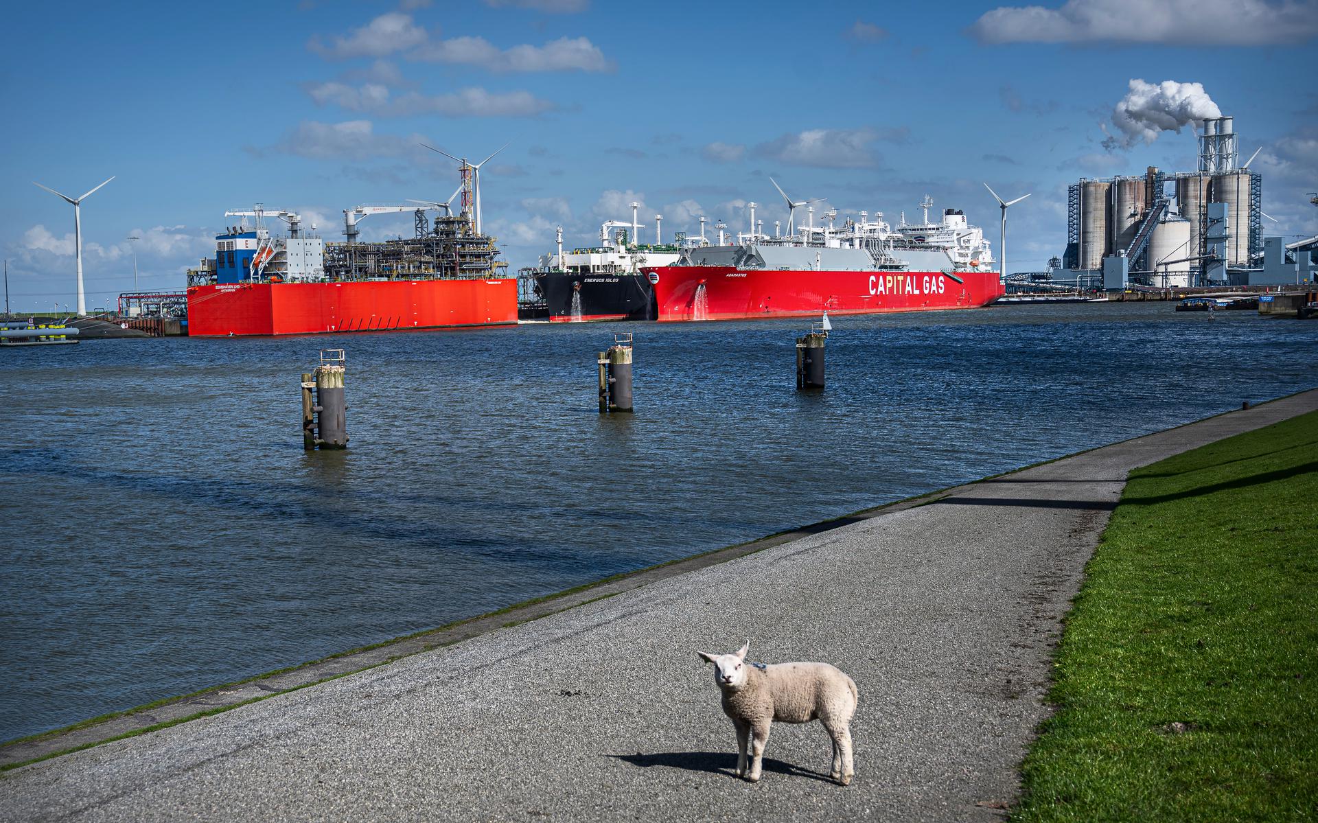 Een Amerikaanse LNG-tanker meert af bij de LNG-terminal in de Eemshaven. De Adamastos brengt 174.000 kuub LNG naar Nederland. De terminal in de Eemshaven is van groot belang voor de energievoorziening, niet alleen voor Nederland maar ook andere landen in West-Europa.