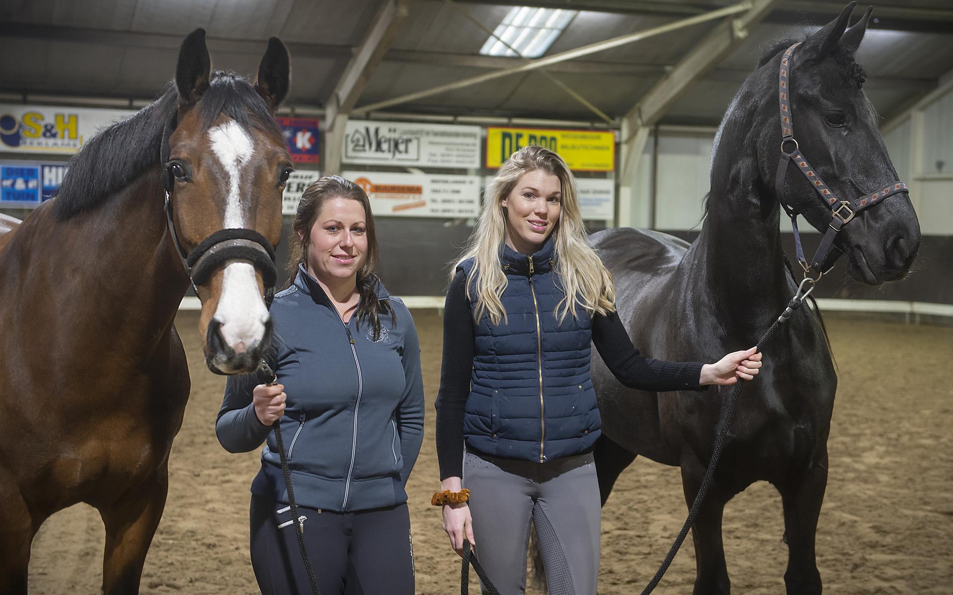 Nieuw hippisch spektakel in Erica, met Britt Dekker en Esra - Dagblad van  het Noorden