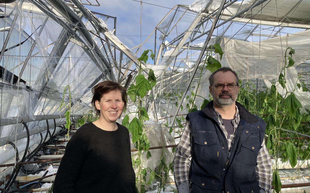 Inge Bergma-De Vries (mede-eigenaar) en Kor Koning (bedrijfsleider) bij de deels ingestorte kas van komkommerkwekerij Drenthe Growers.
