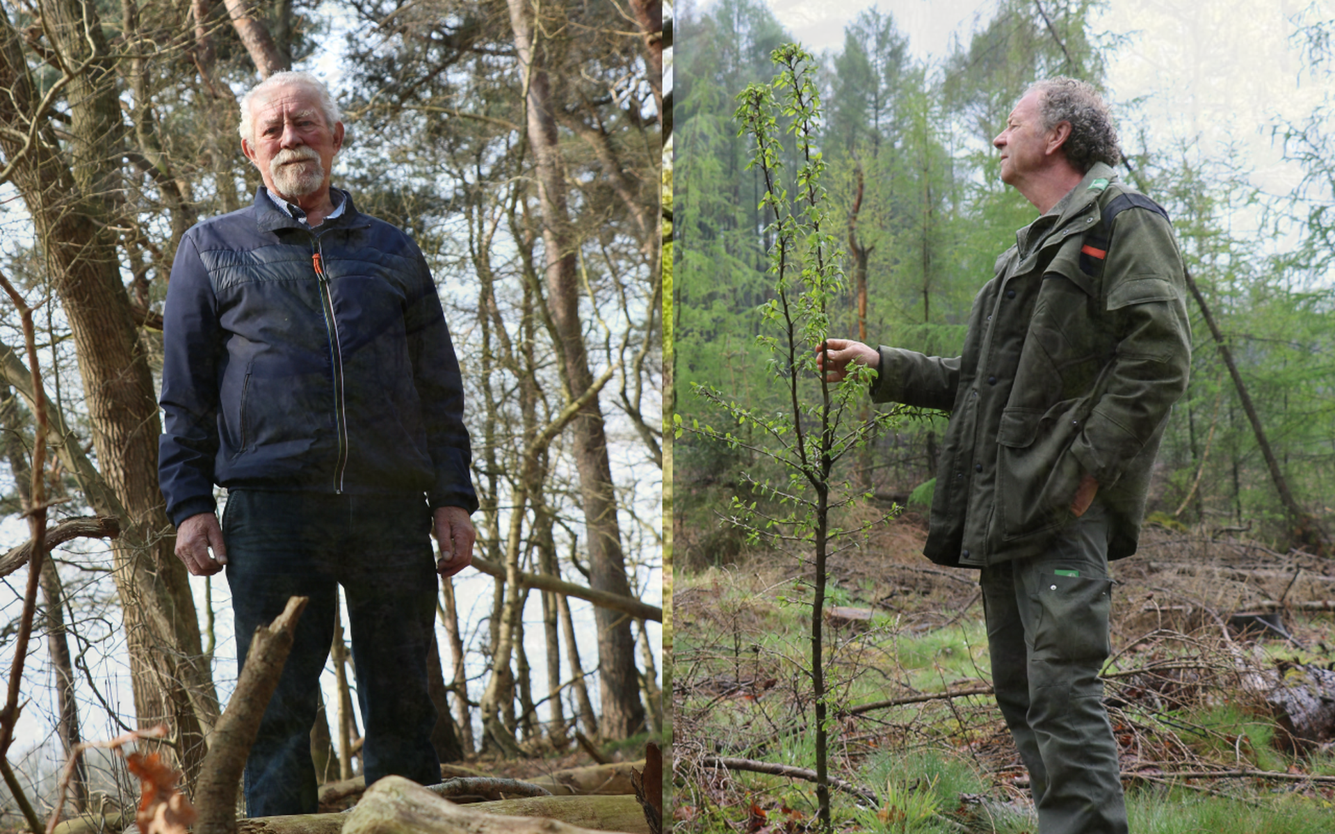 Boer Geert en boswachter Evert kijken anders naar de natuur in de bossen van het Hart van Drenthe.