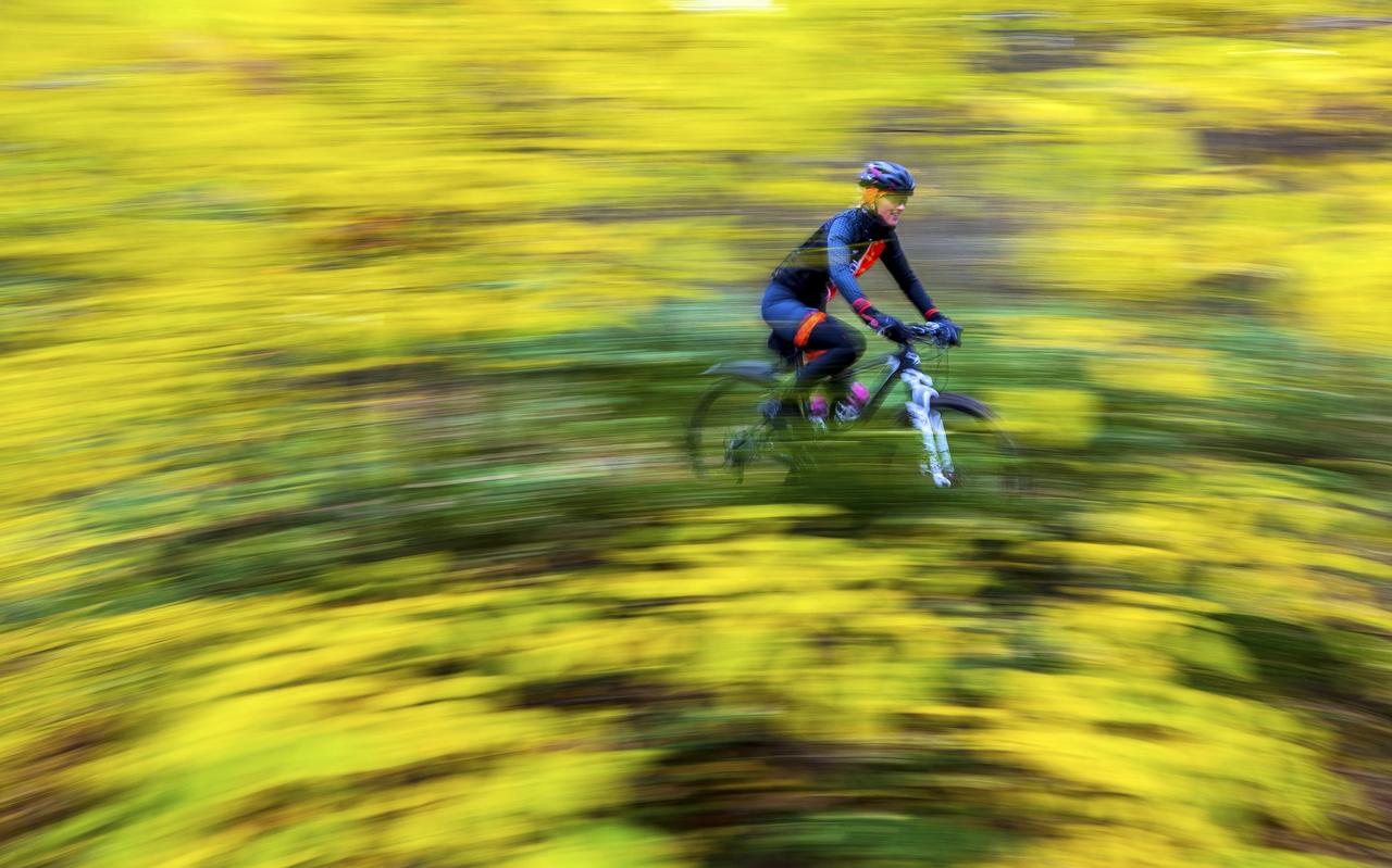 Mountainbiken is volgens velen een leuke manier om de natuur te beleven, maar de Partij voor de Dieren stelt vraagtekens bij het aanleggen van routes in beschermde natuurgebieden. Mountainbiken is volgens velen een leuke manier om de natuur te beleven, maar de Partij voor de Dieren stelt vraagtekens bij het aanleggen van routes in beschermde natuurgebieden.