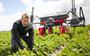 Jarno Rietema (29) verbouwt pootaardappelen in Oudeschip.