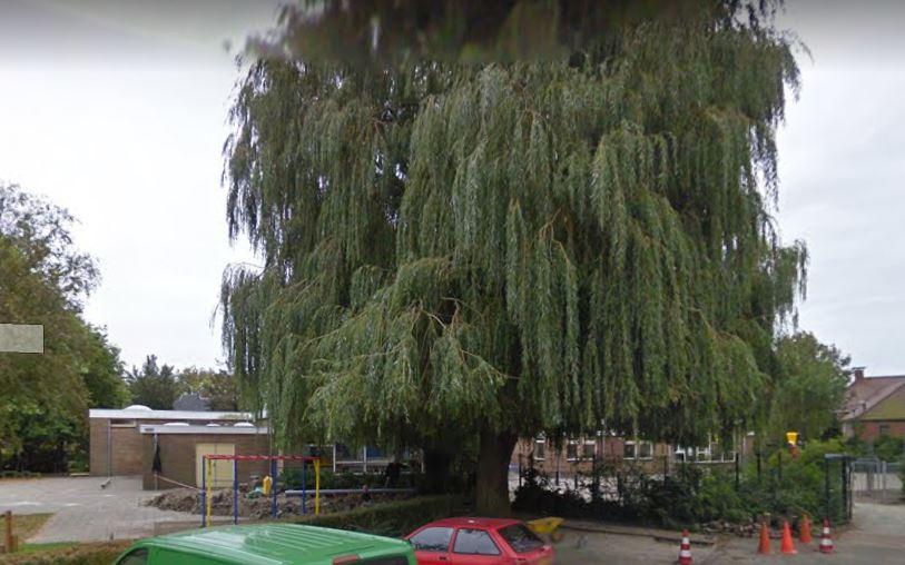 Basisschool Hiliglo in Holwierde blijft een week dicht vanwege corona-uitbraak - Dagblad van het Noo