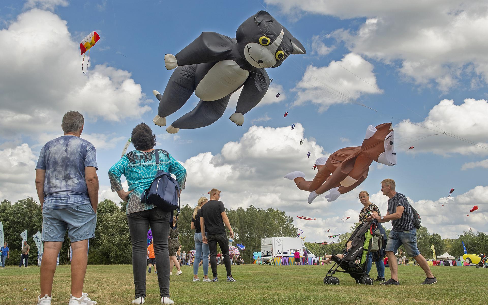 Het Vliegerfestival bij de Grote Rietplas in Emmen in 2020.