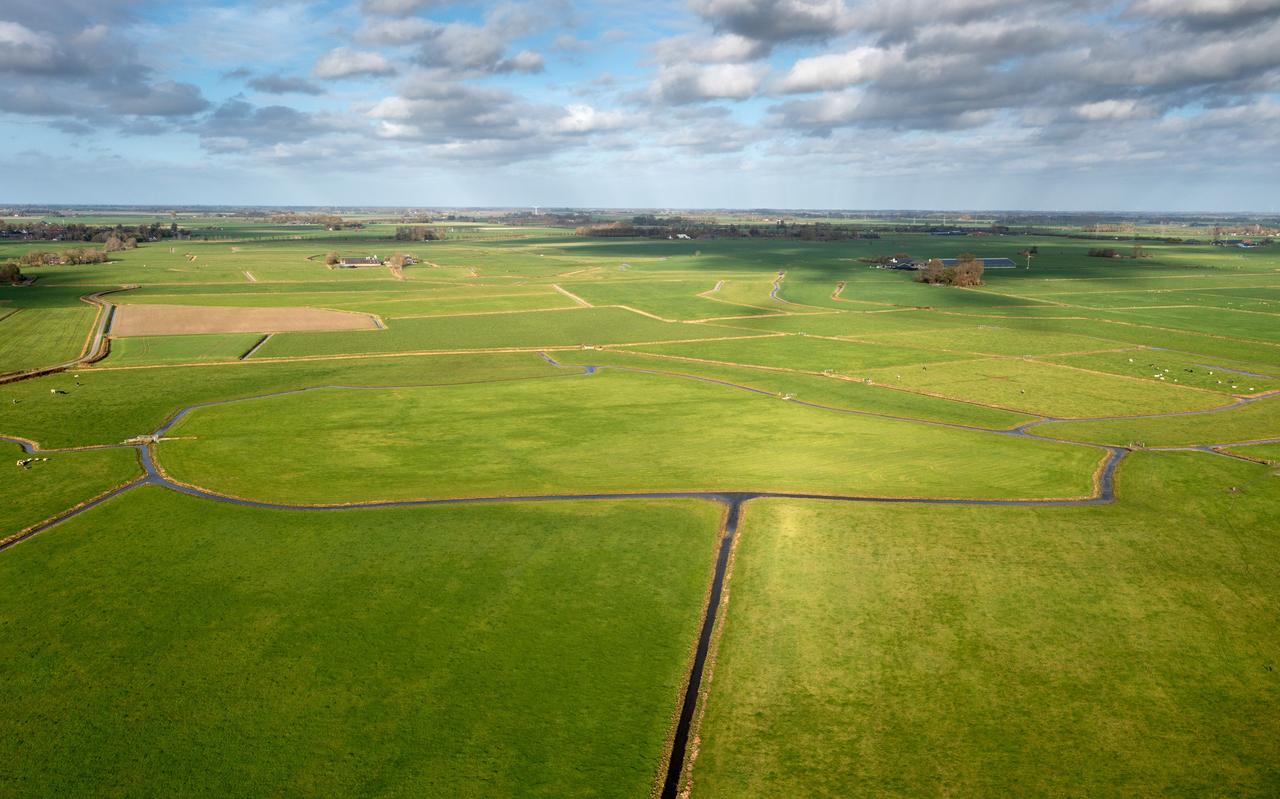 Het agrarische landschap van Medenertilsterpolder wordt 'bedreigd' door de aanleg van een natuurgebied. Het agrarische landschap van Medenertilsterpolder wordt 'bedreigd' door de aanleg van een natuurgebied.