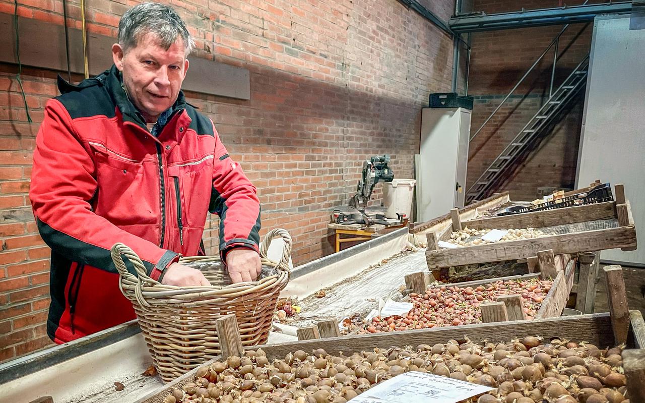 Geert Kruize uit Uithuizermeeden helpt als consultant Duitse boeren bij het kweken van tulpen. ,,Ik ga dertig jaar terug in de tijd.''