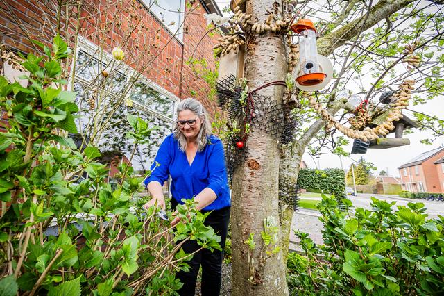 Hoe Baukien (49) uit Stadskanaal wilde bijen te hulp schiet. ’Het moet meer zoemen in de tuin’