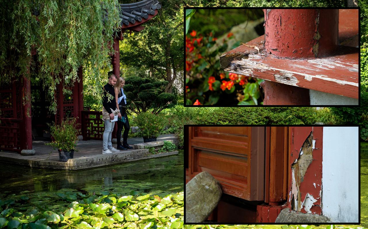 Daan Hoving en Marije Popping in de Chinese tuin Foto: DVHN/Matthijs Sorgdrager Daan Hoving en Marije Popping in de Chinese tuin Foto: DVHN/Matthijs Sorgdrager