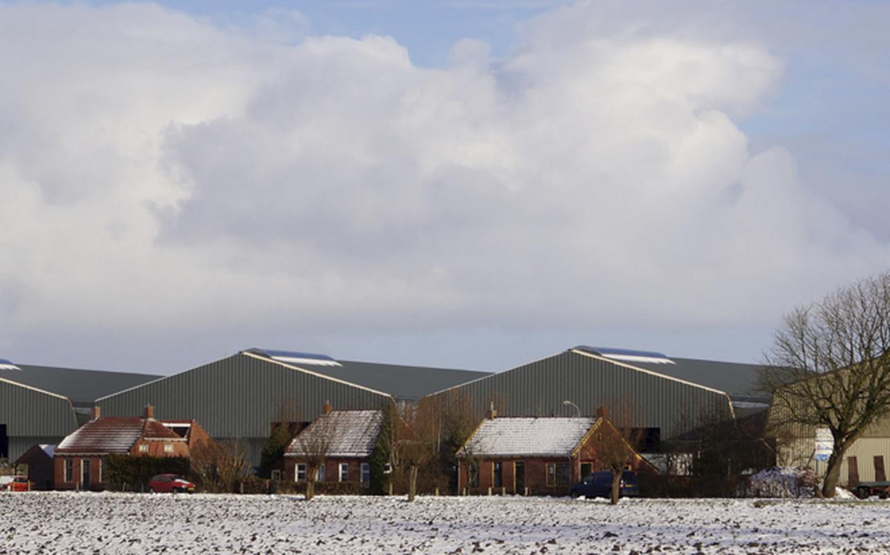 Inwoners van Den Andel vrezen dat er naast de twee reeds bestaande loodsen (rechts op de foto) achter hun woningen nog meer wordt bijgebouwd. FOTOMONTAGE MARTEN AUKES Inwoners van Den Andel vrezen dat er naast de twee reeds bestaande loodsen (rechts op de foto) achter hun woningen nog meer wordt bijgebouwd. FOTOMONTAGE MARTEN AUKES