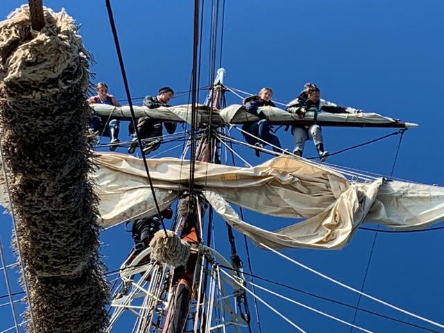 LIVE | Haven Delfzijl doet mee in prestigieuze internationale race van tall ships