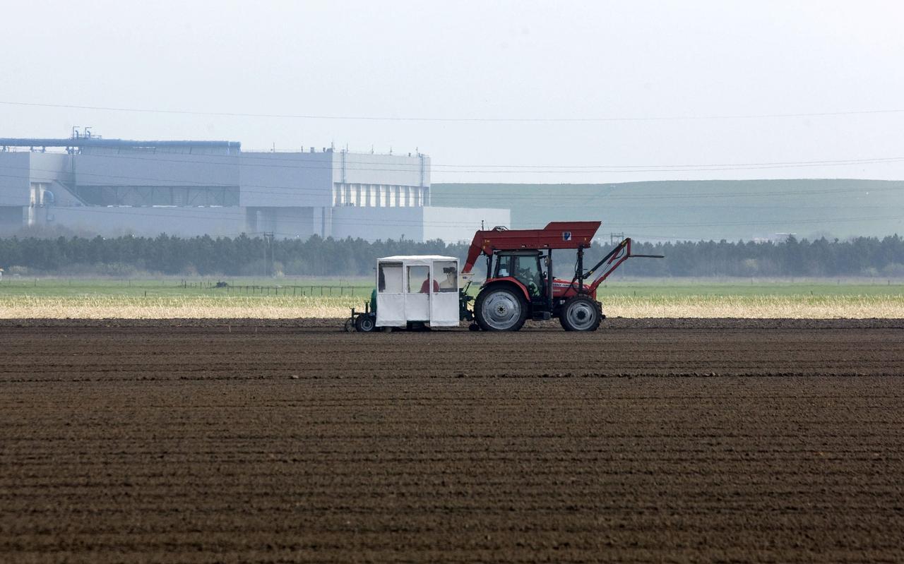 De teelt van lelies in Drenthe leidt tot onenigheid tussen milieuorganisaties en boeren. De teelt van lelies in Drenthe leidt tot onenigheid tussen milieuorganisaties en boeren.