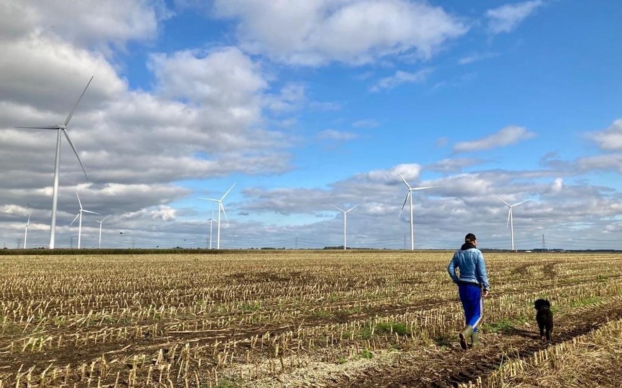 De gemeenteraad van Midden-Groningen wil dat het college stappen onderneemt om de windturbines op windpark Eekerpolder/N33 uit te zetten. De gemeenteraad van Midden-Groningen wil dat het college stappen onderneemt om de windturbines op windpark Eekerpolder/N33 uit te zetten.