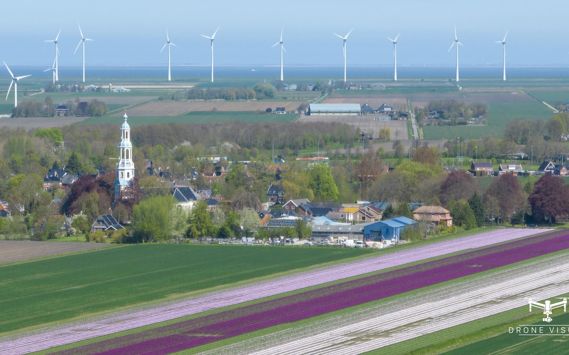 Naar de bollen in Noord-Groningen vanuit Uithuizermeeden. Met de benenwagen, fiets, auto of motor