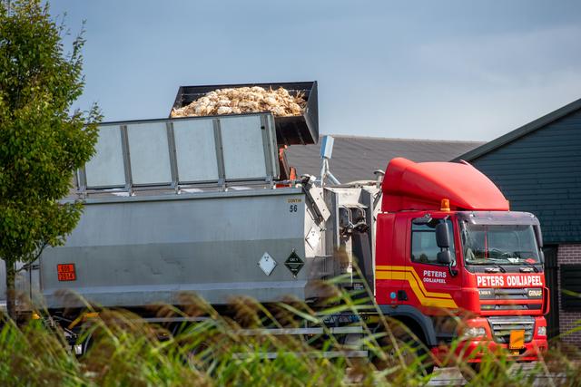 Vogelgriep vastgesteld op legkippenbedrijf in Geesbrug: 24.000 kippen afgemaakt