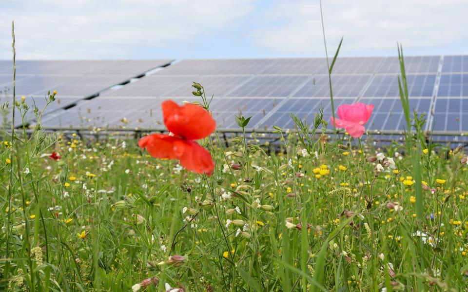 TPSolar start bouw van haar deel van Zonnepark Zuidvelde