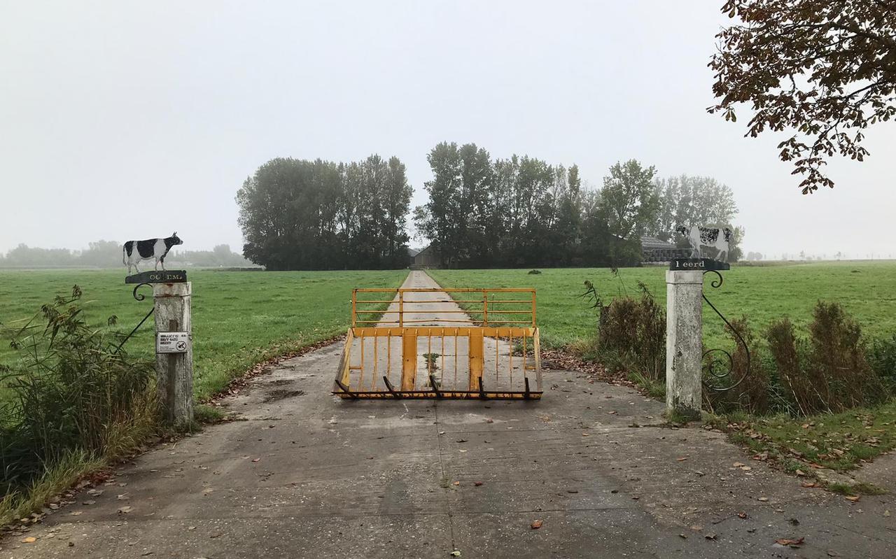 De boerderij waar 200 koeien werden weggehaald omdat ze verwaarloosd werden volgens de NVWA De boerderij waar 200 koeien werden weggehaald omdat ze verwaarloosd werden volgens de NVWA