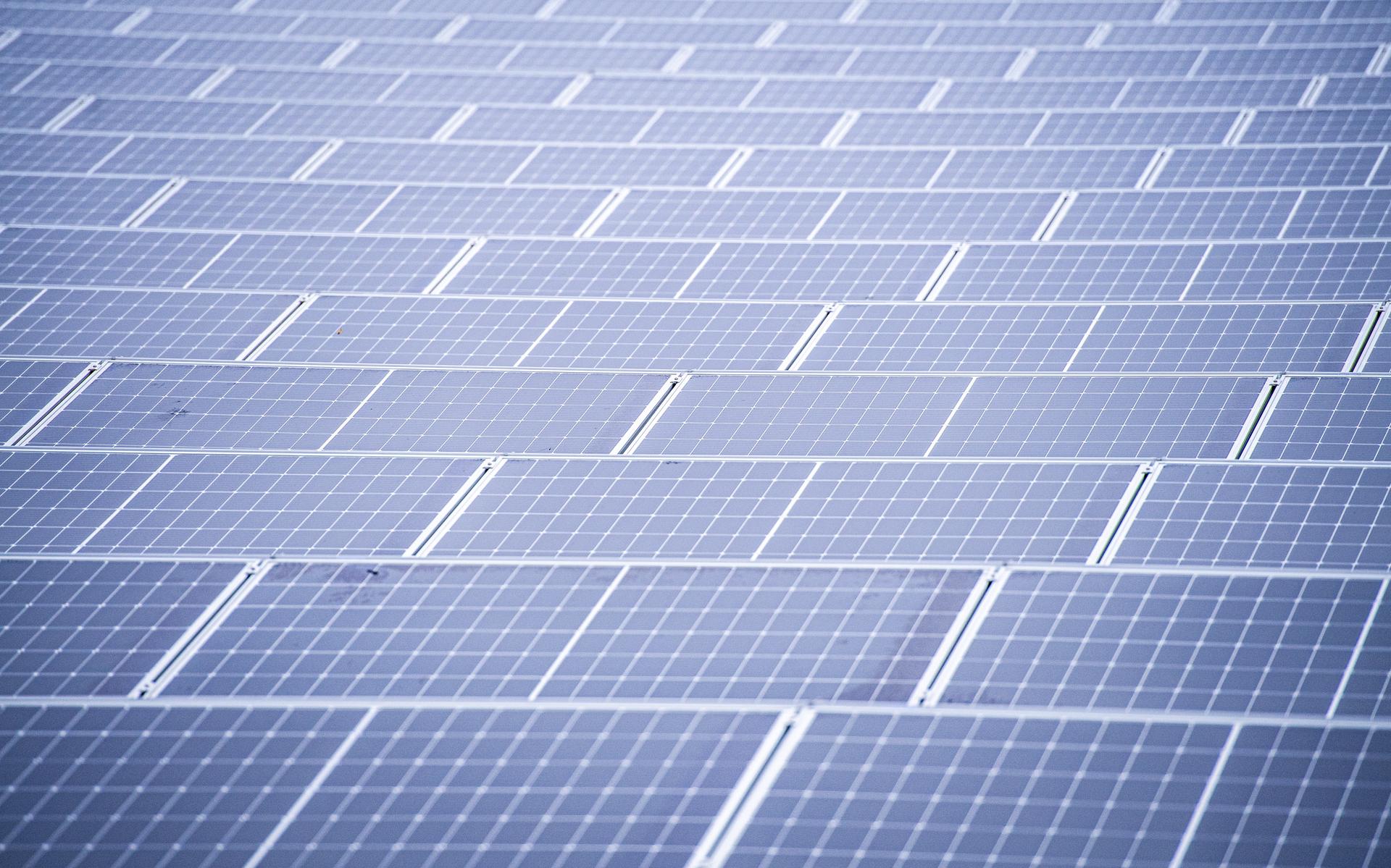 De Eekerpolder en een gebied naast het Emergobos zijn in beeld voor de aanleg van zonneparken