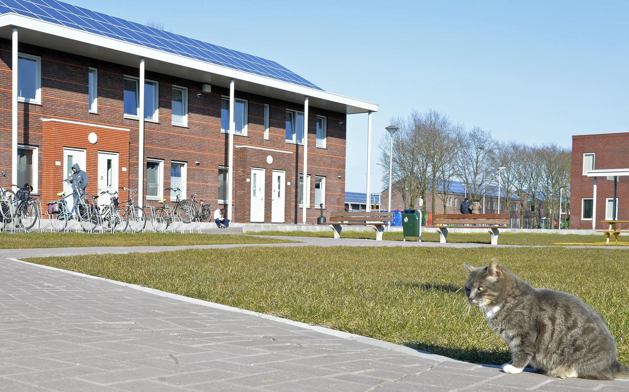 Het asielcentrum in Ter Apel krijgt, zo hoopt wethouder Potze, in het komend voorjaar peuteropvang
