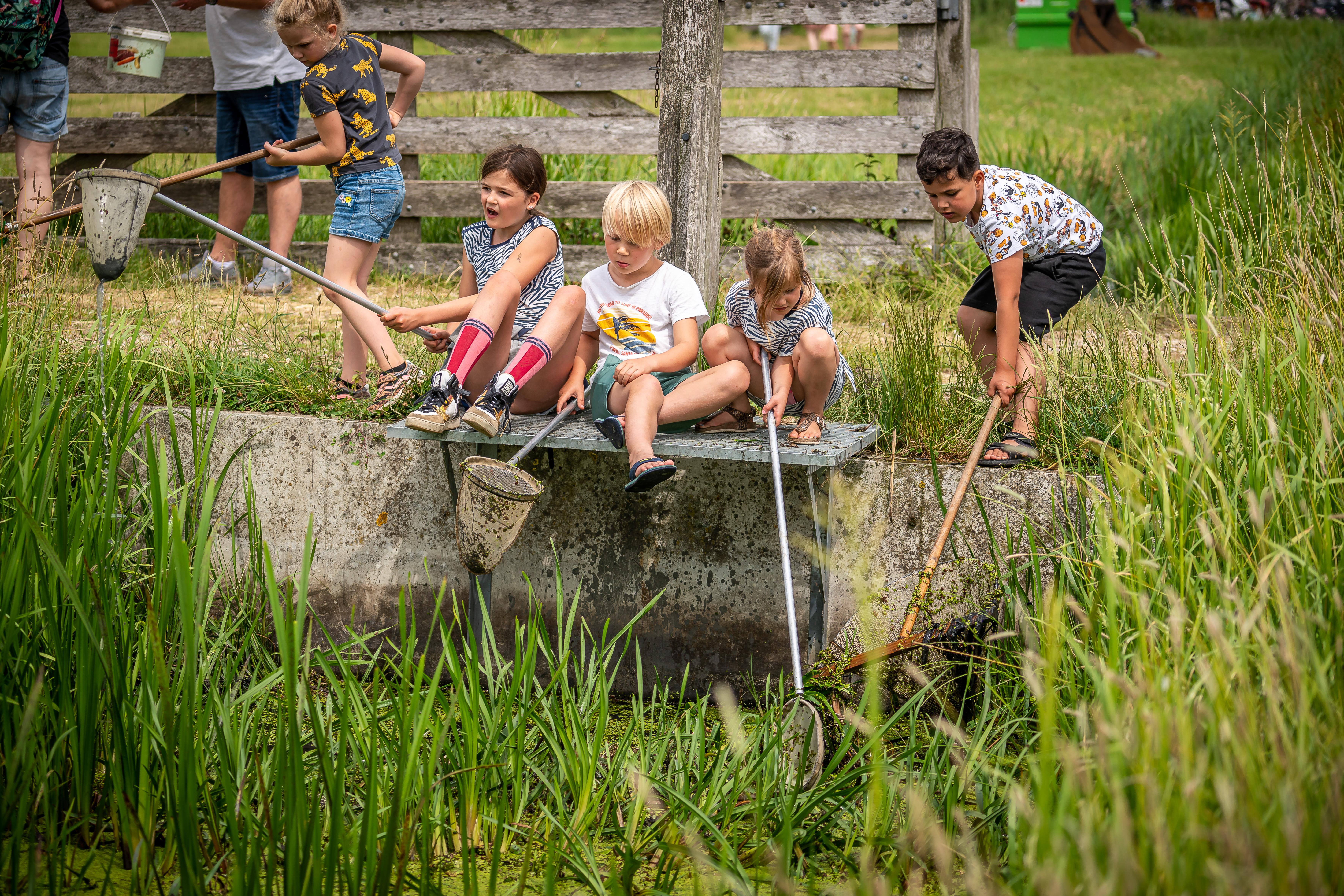 Wat leeft er in de sloot en schaapskooi? Van waterschorpioenen tot lammetjes