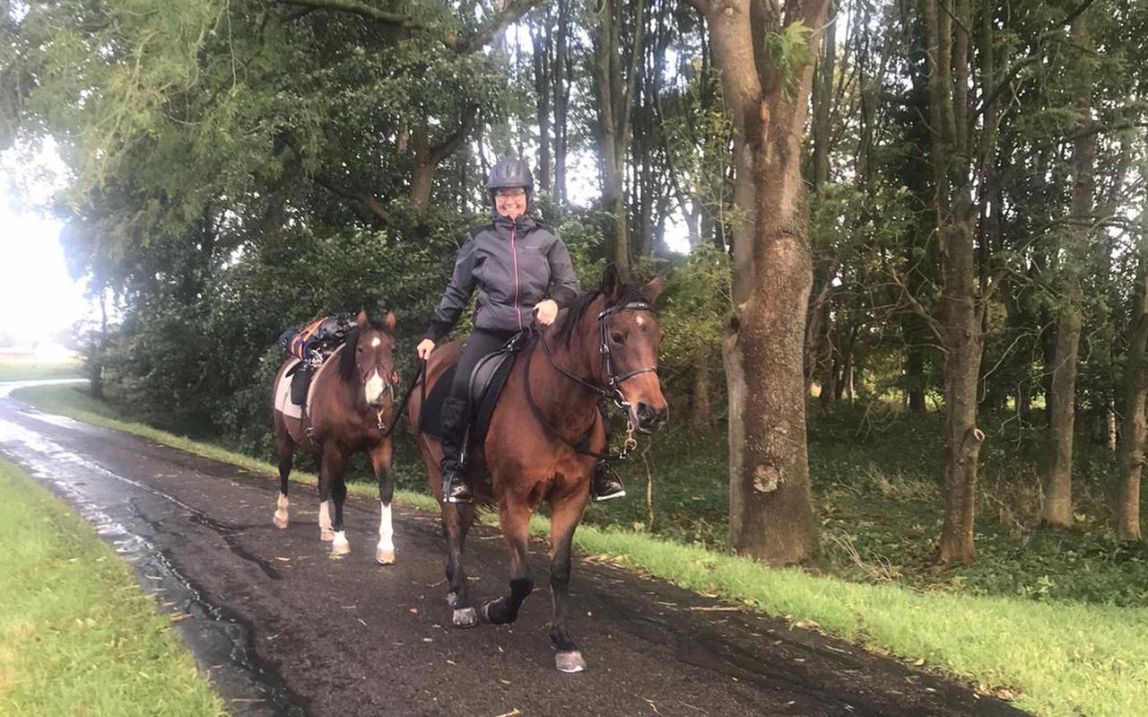 Liesbeth Bernaards onderweg met haar pony's Floor en Babs, op de laatste van vijfhonderd kilometers dwars door Nederland.