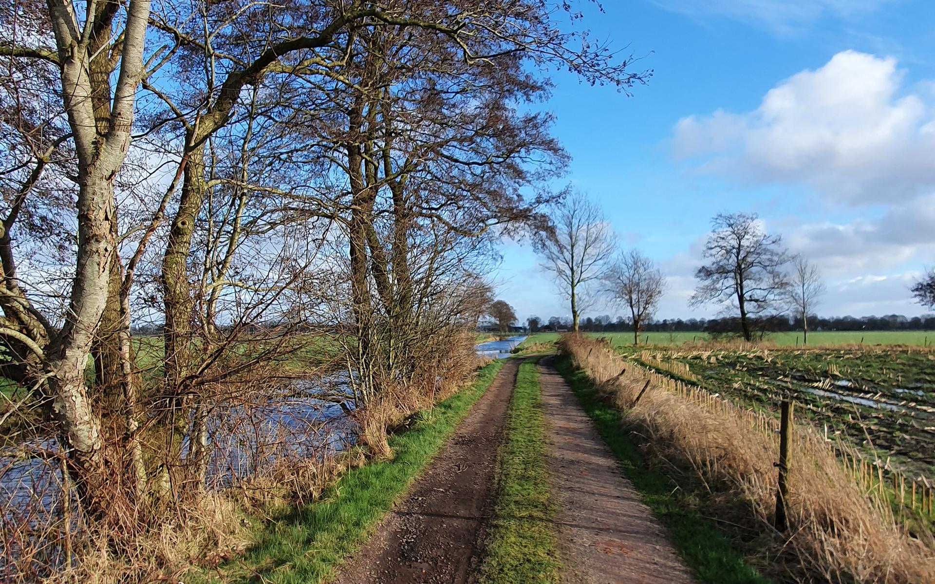 Stevige winterwandeling door Zuidelijk Westerkwartier.