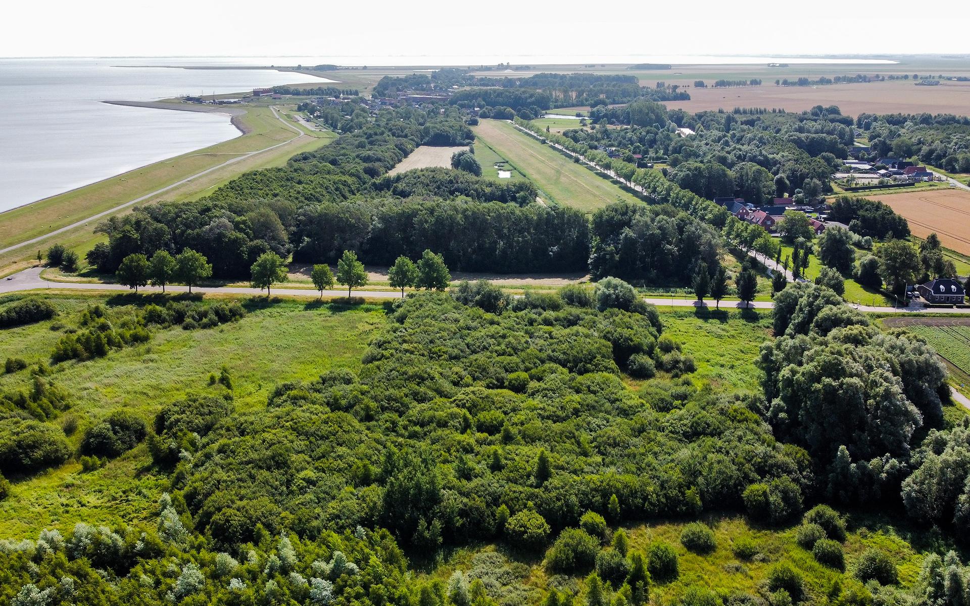 In Borgsweer maken bewoners zich zorgen over de natuurplannen voor de Groote Polder. 'Als de bomen w