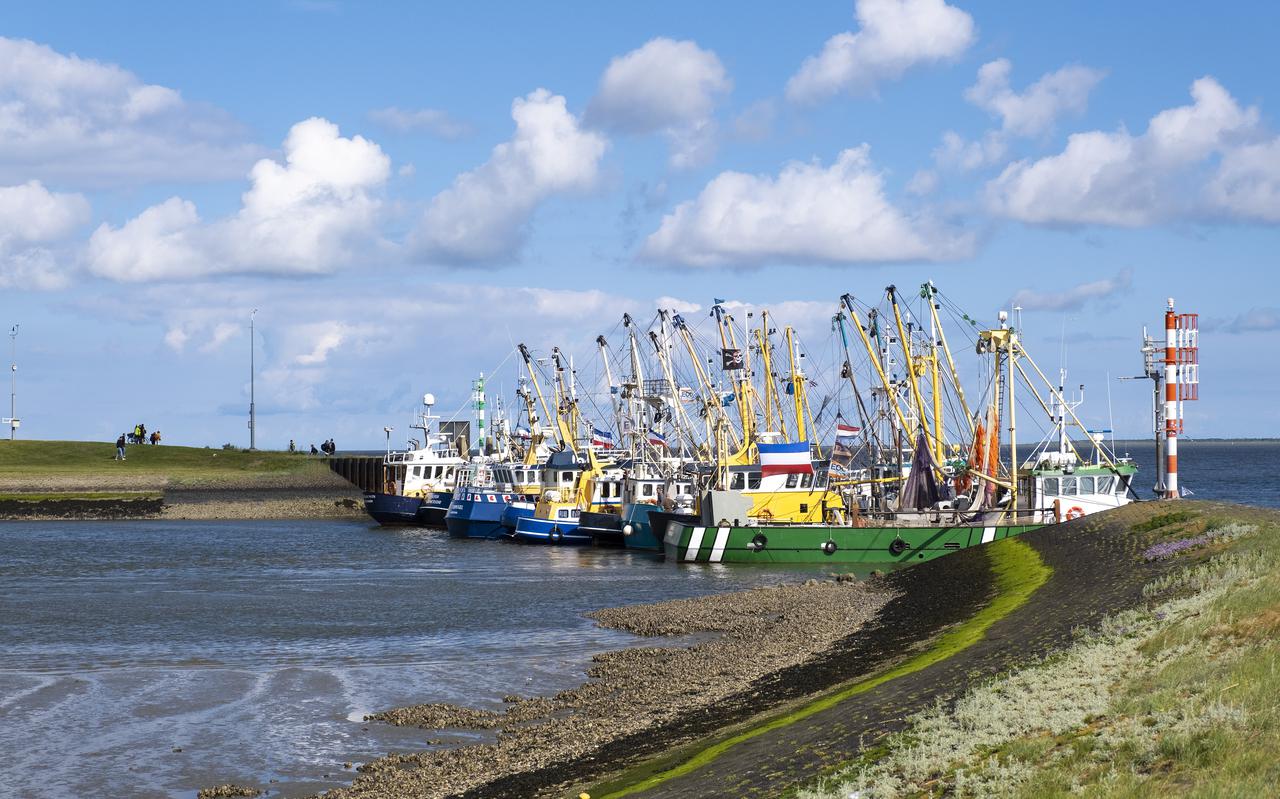 Lauwersoog - Vissers blokkeerden vorig jaar de havens van Lauwersoog en Harlingen uit protest. 
Dagblad van het Noorden / Anjo de Haan