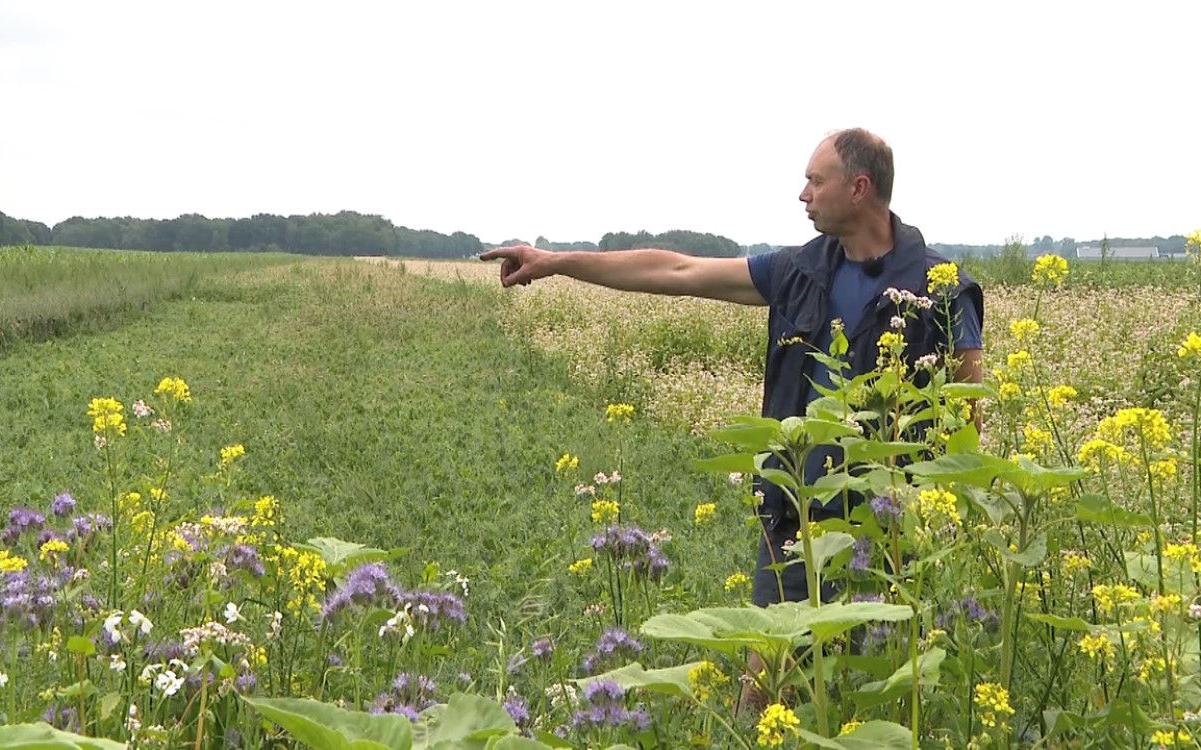 Neem een kijkje achter de schermen bij Land van Ons in Hooghalen: voorlichting, boekweitpannenkoekje