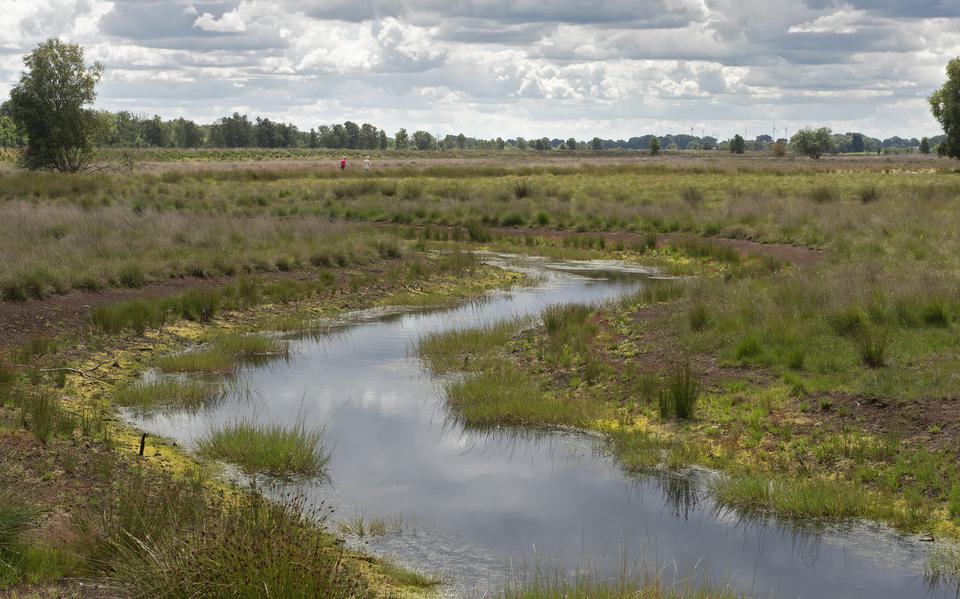 Het Bargerveen is een voorbeeld van een natuurgebied dat de laatste jaren flink is uitgebreid en versterkt.