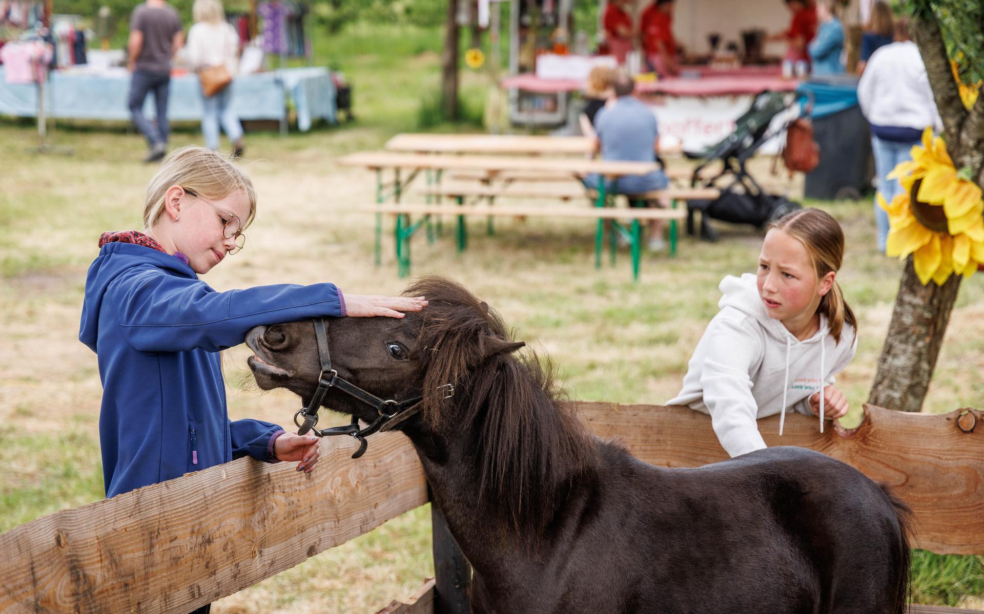 Duizenden mensen naar Frederiksoord om platteland te beleven.
