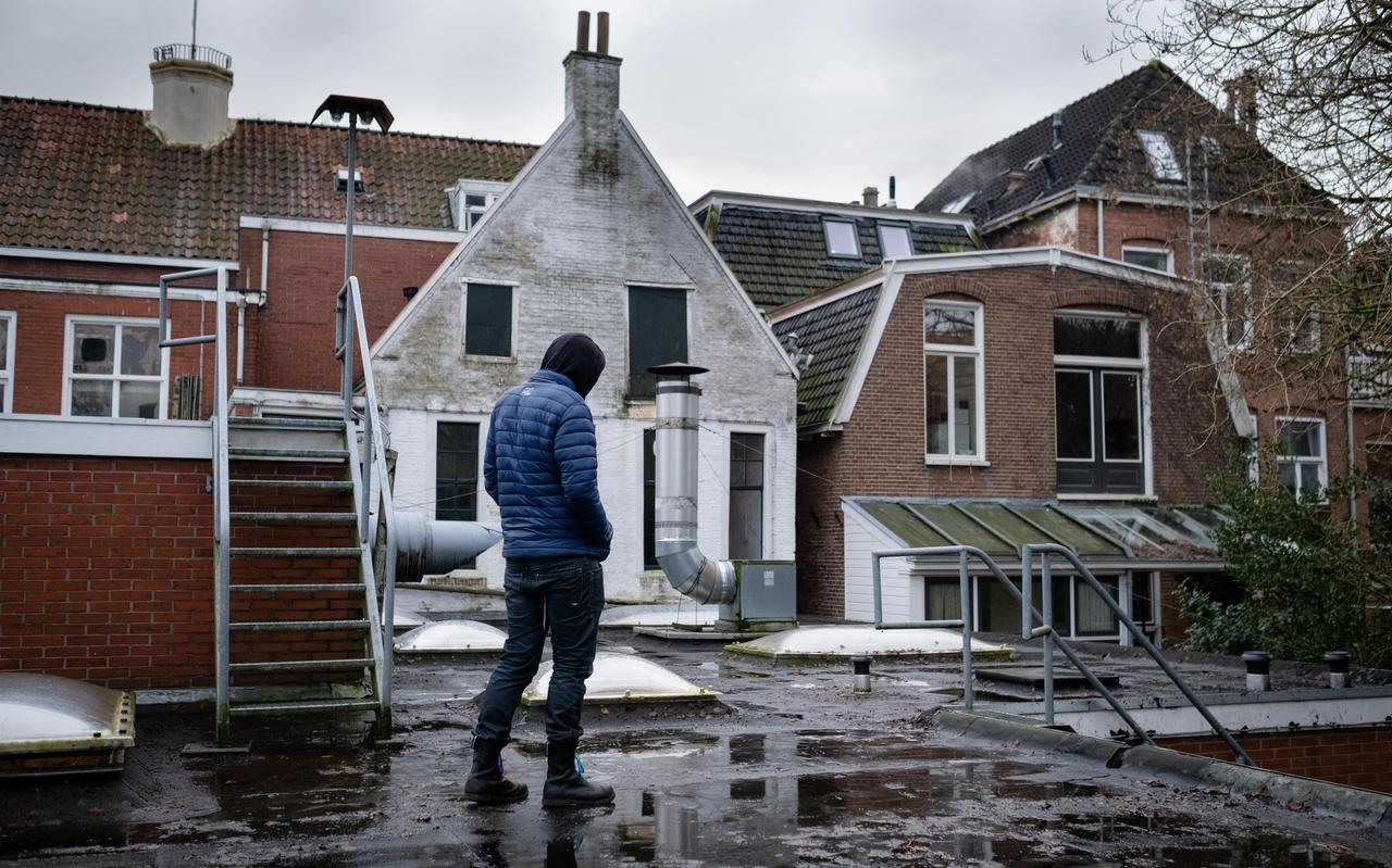 Kraker Noa op het dak van Het Heerenhuis. Kraker Noa op het dak van Het Heerenhuis.