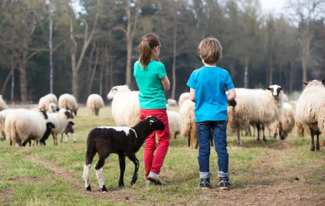 Lentefeest in Paterswolde: lammetjes, paaseieren en puur voorjaar!