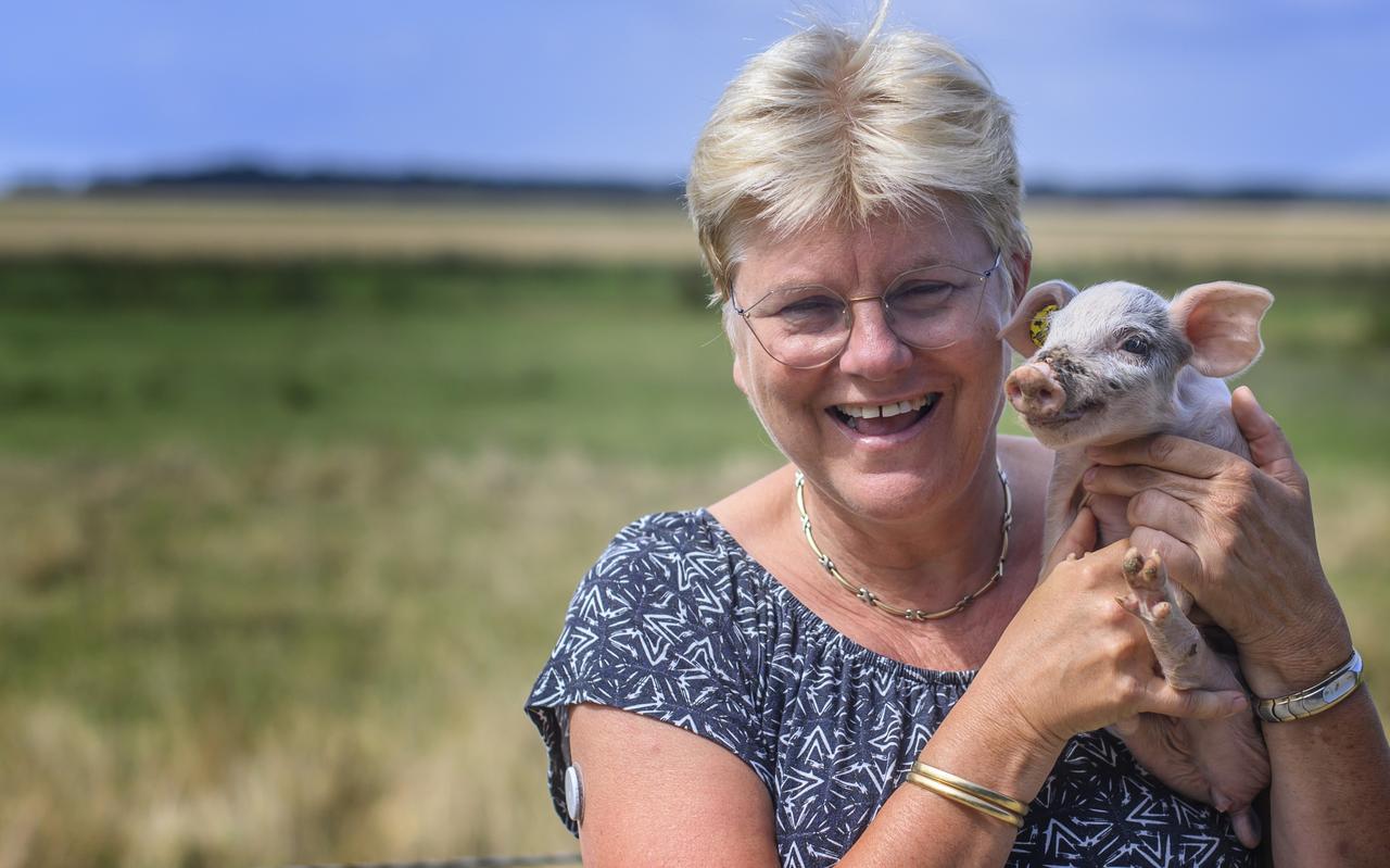 Varkenshouder Annechien ten Have uit Beerta maakt zich sterk voor het produceren van betaalbaar vlees met oog voor dierenwelzijn. Varkenshouder Annechien ten Have uit Beerta maakt zich sterk voor het produceren van betaalbaar vlees met oog voor dierenwelzijn.