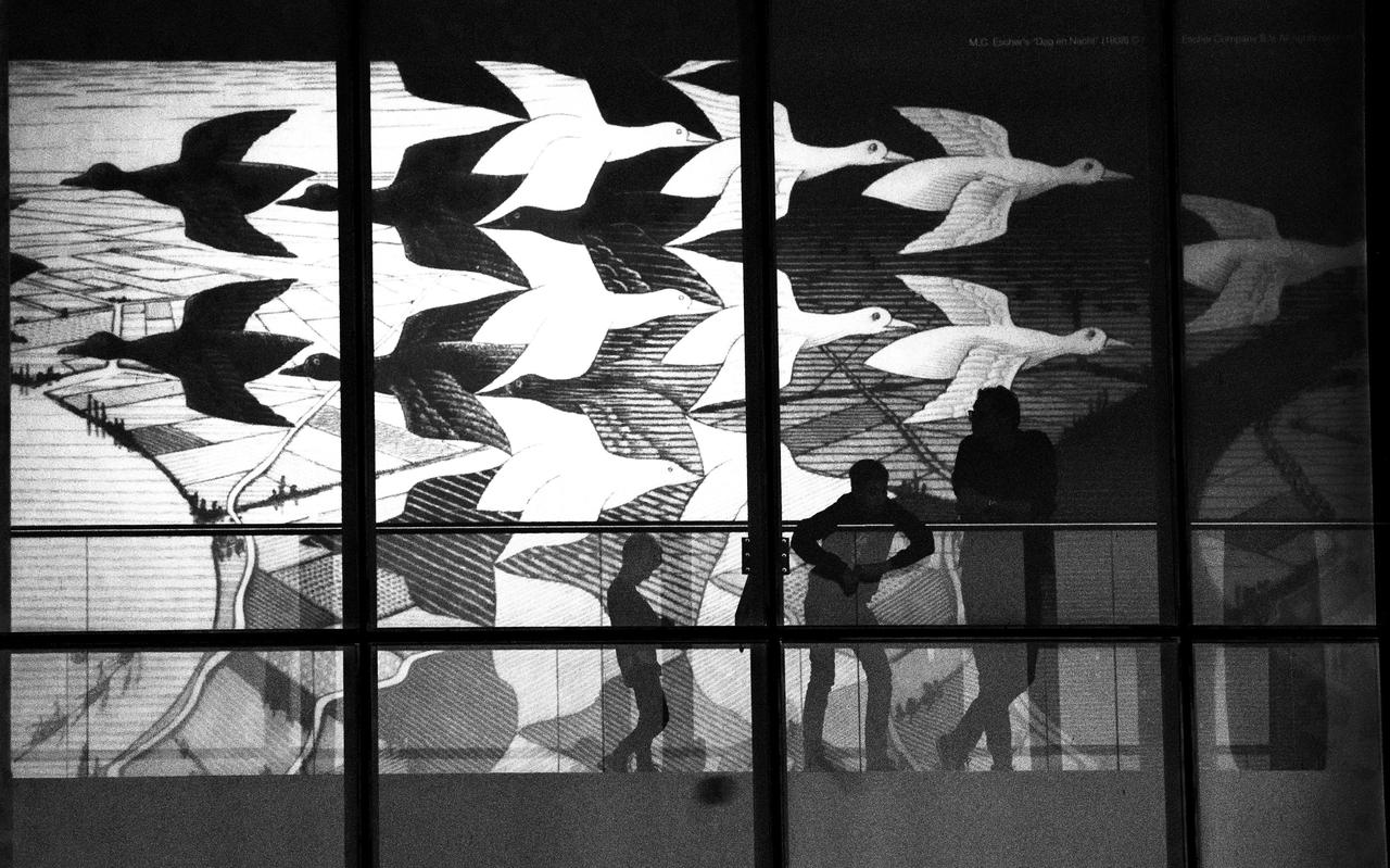 Beeld van de tentoonstelling Escher Op Reis in het Fries Museum in Leeuwarden in 2018. Beeld van de tentoonstelling Escher Op Reis in het Fries Museum in Leeuwarden in 2018.