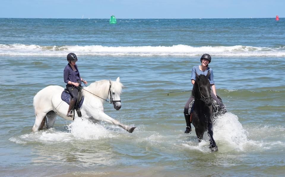 Fiona (links) en Bente spetteren in de Noordzee. 