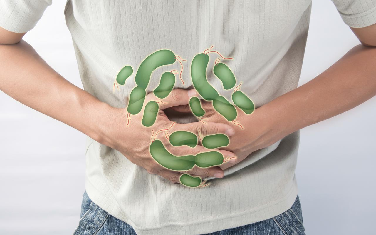 Wie besmet raakt met salmonella heeft vaak last van diarree, buikpijn, en koorts. Wie besmet raakt met salmonella heeft vaak last van diarree, buikpijn, en koorts.