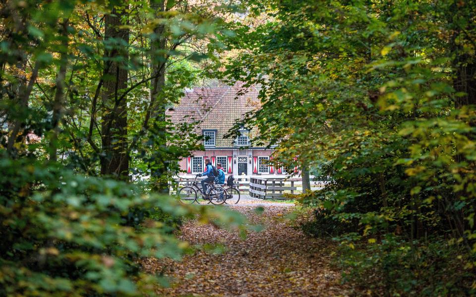 De Slotlaan in Bakkeveen is sinds 2015 in bezit van Natuurmomenten.