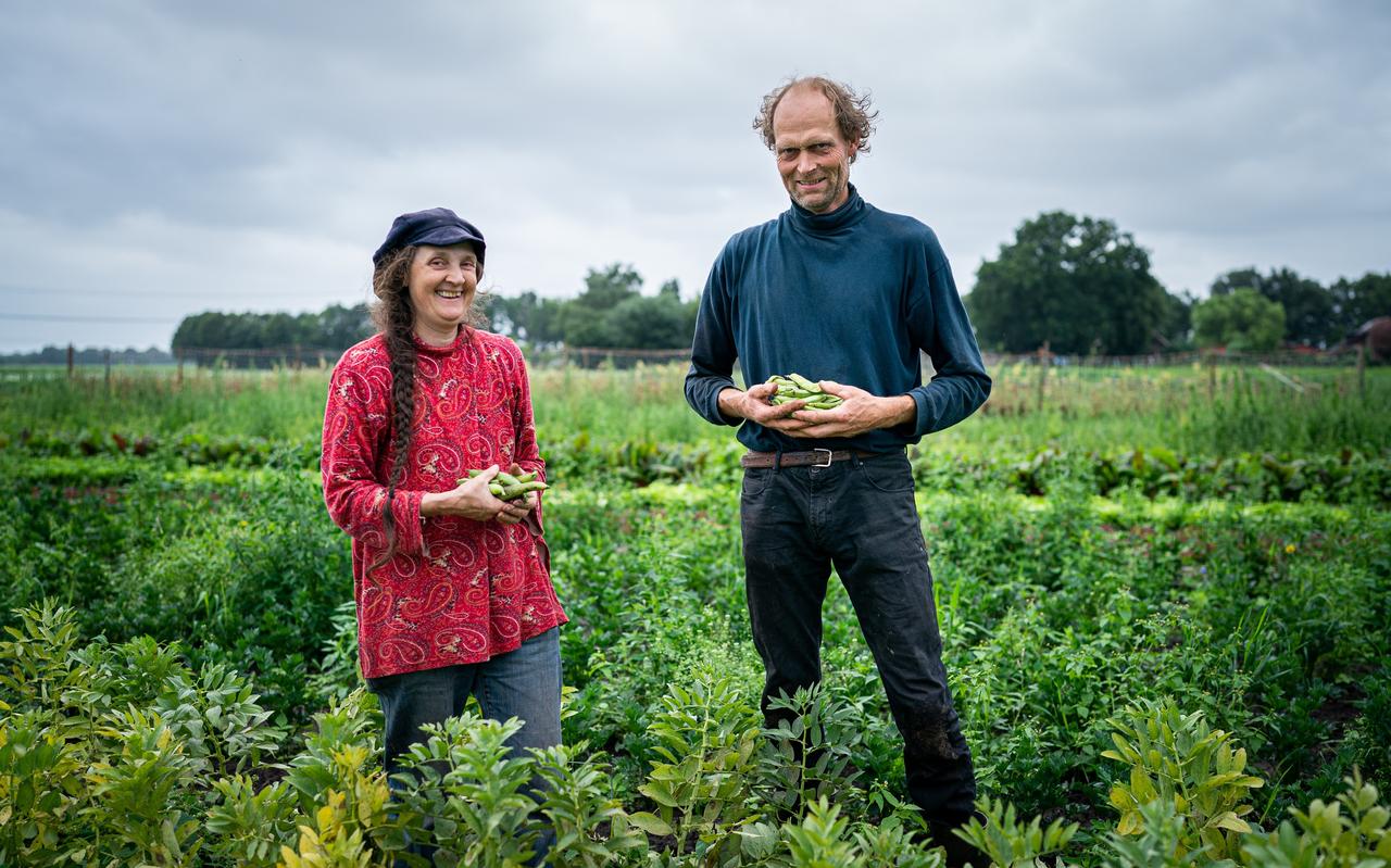 Wouter Kamphuis met zijn vrouw Kathinka bij een van de oogstvelden. Wouter Kamphuis met zijn vrouw Kathinka bij een van de oogstvelden.