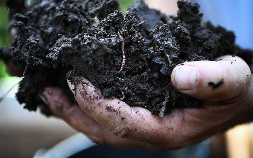 Compost is een  duurzaam kringloopproduct en houdt CO2 vast in de bodem. 